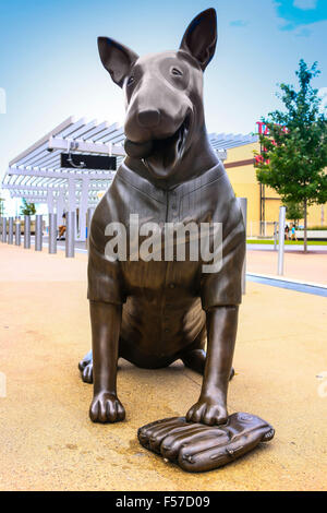 Minnesota twins mascot hi-res stock photography and images - Alamy