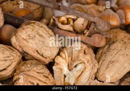 closeup to walnuts and hazelnuts Stock Photo