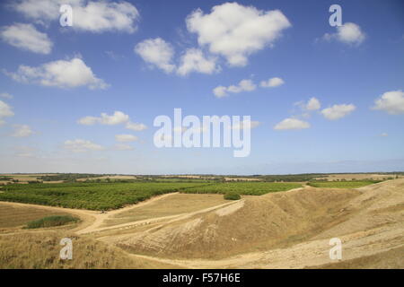 Israel, a view west from Tel Gamma in the Northern Negev, site of the Canaanite city Yurzah Stock Photo
