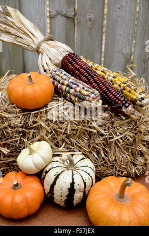 Pumpkins and Corn on Hay Stock Photo