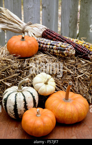 Pumpkins and Corn on Hay Stock Photo