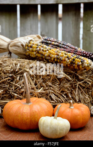 Pumpkins and Corn on Hay Stock Photo