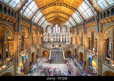 Visitors inside the Central hall of the Natural History Museum  Exhibition road South Kensington London England GB UK EU Europe Stock Photo