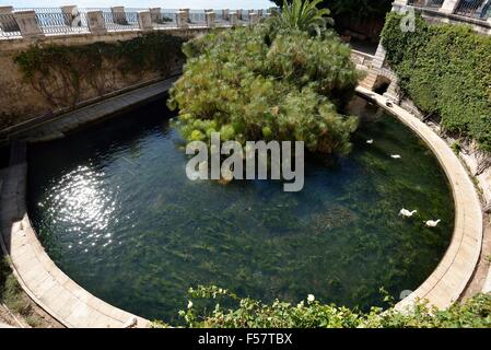 Fountain of Arethusa, Ortygia, Syracuse, Province of Syracuse, Sicily, Italy Stock Photo