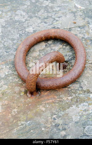 one rusty mooring loope on the mount Stock Photo