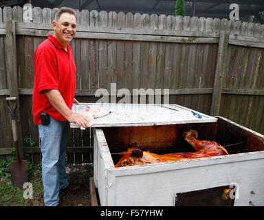 A dramatically Crispy Roasted Pig, being prepared to be removed from it's traditional Cuban style above ground cooking box Stock Photo