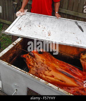 A dramatically Crispy Roasted Pig, being prepared to be removed from it's traditional Cuban style above ground cooking box Stock Photo