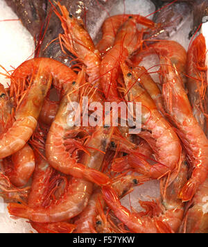 Crayfishes on ice at fish market Stock Photo