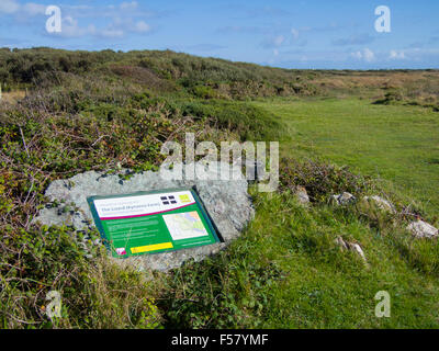 The Lizard ( Kynance Farm ) National Nature Reserve, Lizard Peninsula, Cornwall, England, UK in Summer Stock Photo