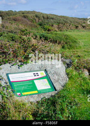 The Lizard ( Kynance Farm ) National Nature Reserve, Lizard Peninsula, Cornwall, England, UK in Summer Stock Photo