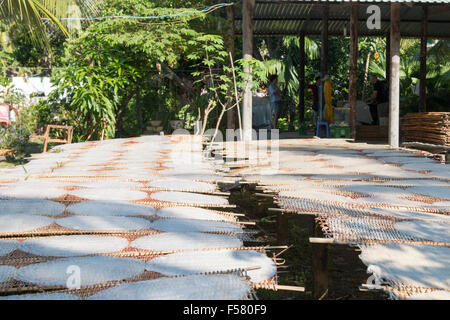 Sau Hoai's rice noodle factory , Can Tho, Mekong Delta, rice paper crepes drying in the sun,Vietnam Stock Photo