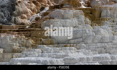 Yellowstone Mammoth Hot Springs cascade geyser. Stock Photo