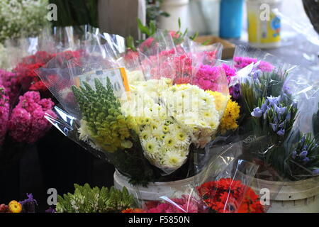 Fresh cut flowers for sale at the market Stock Photo