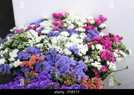 Colorful Limonium sinuata  or known as Statice Flowers for sale at a market Stock Photo