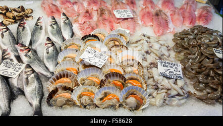 Fresh seafood, scallops, squid, fish and prawns, displayed on a fishmonger's stall in the Pescheria covered market, Venice, Italy Stock Photo