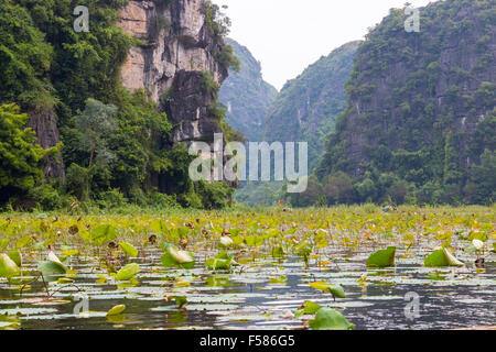 Tam Coc area of Ngo Dong River where tourists travel by boat to see caves and islands often called halong bay on land,Vietnam Stock Photo