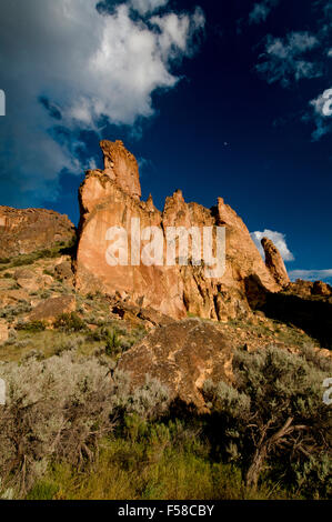 Volcanic Leslie Gulch welded tuff formation in Leslie Gulch, SE Oregon Stock Photo