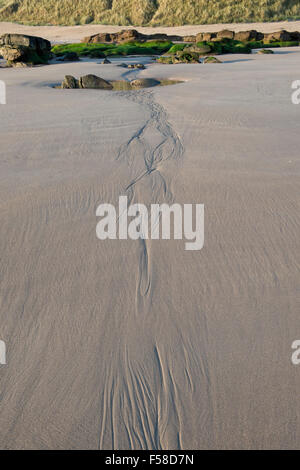 Rippled sand and sea water on a beach at low tide. Northumberland, England Stock Photo