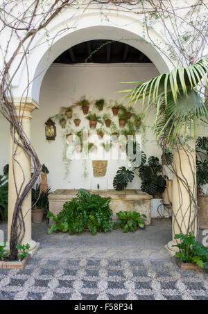 Beautiful garden in a courtyard in Andalucia, Spain with plant pots hanging from the walls above a bench Stock Photo