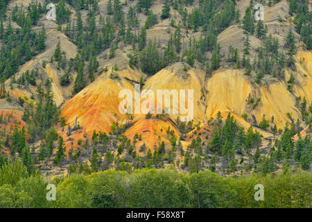 Badlands erosion features in the Thompson River Valley near 16 Mile, near Cache Creek, British Columbia, Canada Stock Photo