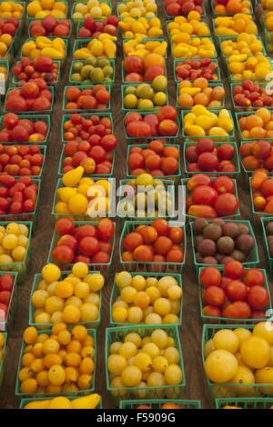A bumper crop of various types of small tomatoes for sale at a farmers market in Brooklyn, New York. Stock Photo