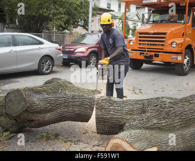 NYC tree removal crew cut down a tree in danger of blowing over during a storm. Brooklyn, NY. Stock Photo