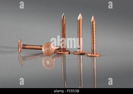 Copper roofing nails shown on a plain reflective background. Copper nails are used for slate roofing and in maritime conditions Stock Photo