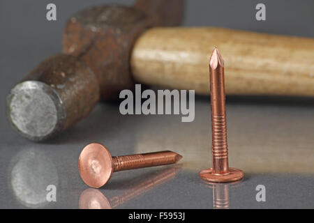 Copper roofing nails shown on a plain reflective background with a hammer in the background Stock Photo