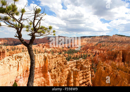 Scenic vista of the Amphitheater in Bryce Canyon National Park located in Utah, USA. Stock Photo