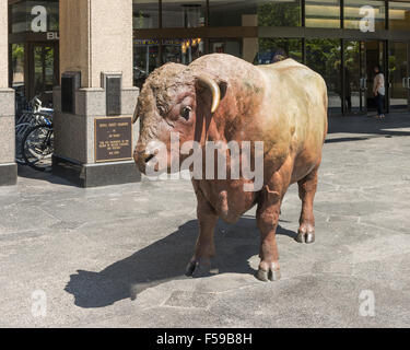 'Royal Sweet Diamond' (2000) life-size bronze bull sculpture, by Joe Fafard, on Georgia Street, Vancouver BC, Canada. Stock Photo