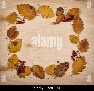 frame from autumn leaves collection and berry on wooden background Stock Photo