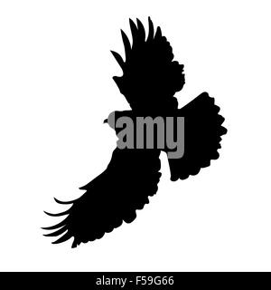 A silhouette of an eagle or hawk in mid flight Stock Photo