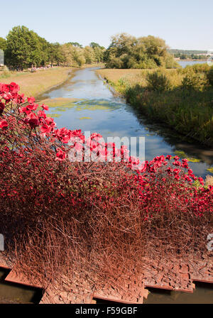 A 'Wave' of sweeping bright red poppy heads marking the centenary of the outbreak of war; displayed at Yorkshire Sculpture Park. Stock Photo