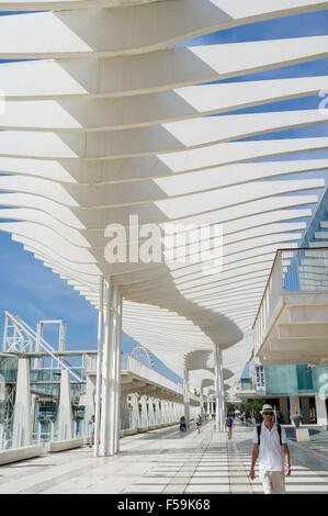 El Palmeral de las Sorpresas promenade at the port. Málaga, Andalusia, Spain Stock Photo