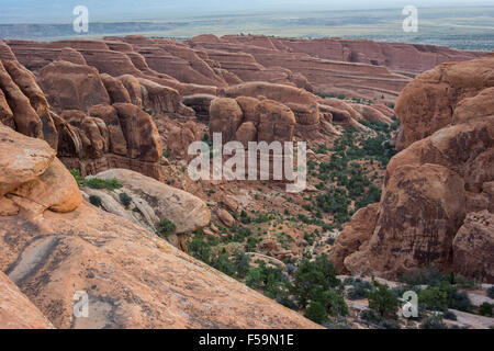 Thin geological formations in rows along the Devil's Garden Hike Stock Photo