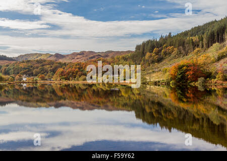 Trees showing autumn colours reflected in Llyn Geirionydd, Wales Stock Photo