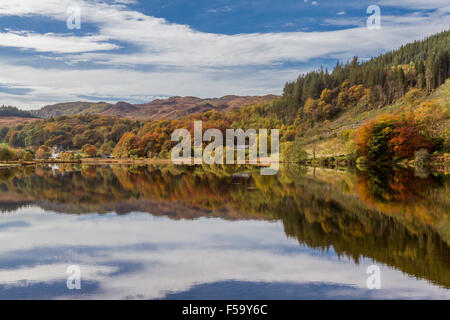 Trees showing autumn colours reflected in Llyn Geirionydd, Wales Stock Photo