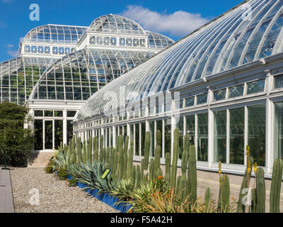 Haupt Conservatory in the New York Botanical Garden, The Bronx, NY, USA Stock Photo