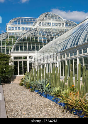 Haupt Conservatory in the New York Botanical Garden, The Bronx, NY, USA Stock Photo