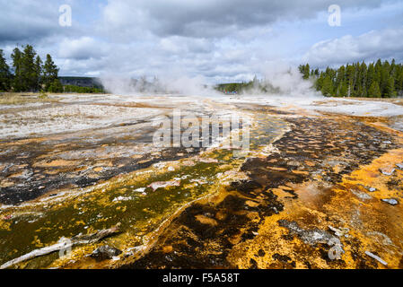 Colourful runoff from Splendid, Comet and Daisy Geysers, Upper Geyser Basin, Yellowstone National Park, Wyoming, USA Stock Photo