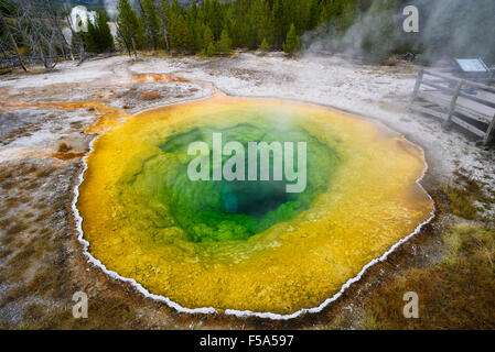 Morning Glory Pool, Upper Geyser Basin, Yellowstone National Park, Wyoming, USA Stock Photo