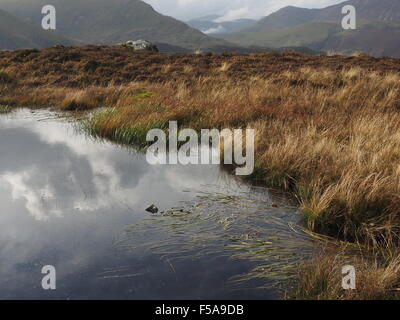 reflections of sky in mountain pool near summit of Eye Spy on Newlands Horseshoe above Borrowdale in Cumbria UK Lake District Stock Photo