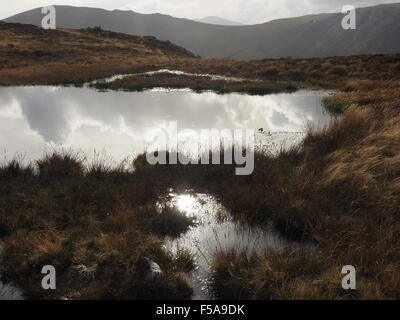 reflected silver sky in mountain pool near summit of Eye Spy on Newlands Horseshoe above Borrowdale in Cumbria UK Lake District Stock Photo