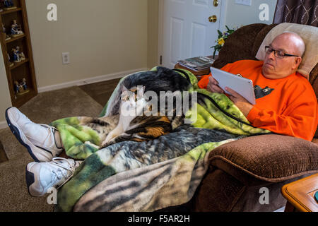 Molly, a calico cat, resting comfortably on a blanket on the lap of a man in a recliner who is using a tablet computer Stock Photo