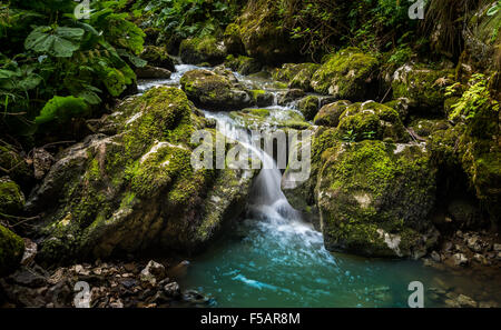 Forest Water Stream Running Over Mossy Rocks. Flowing Creek. Stock Photo