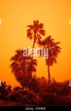 Orange sky at sunrise caused by sandstorm, Sydney, Australia Stock Photo
