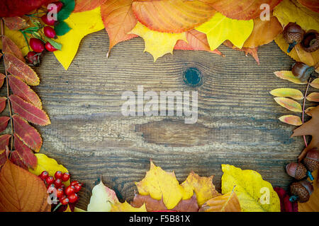 Old wooden board with autumn leaves, top view Stock Photo