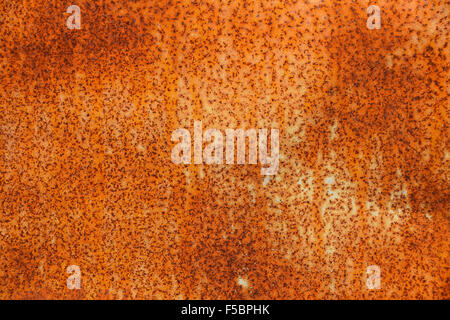 Bright rust stained corroded metal surface Stock Photo