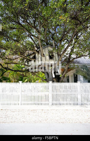 Kids Tree house in Key West Florida USA travel Stock Photo