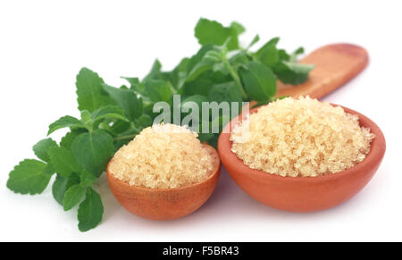 Coarse crystals of brown sugar with stevia leaves over white background Stock Photo